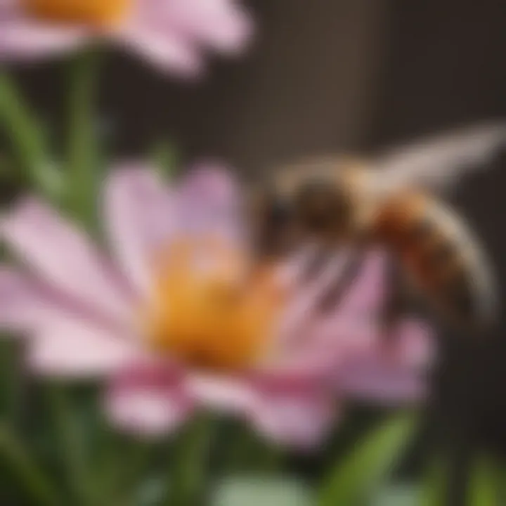Close-up of a honey bee collecting nectar from a blooming flower