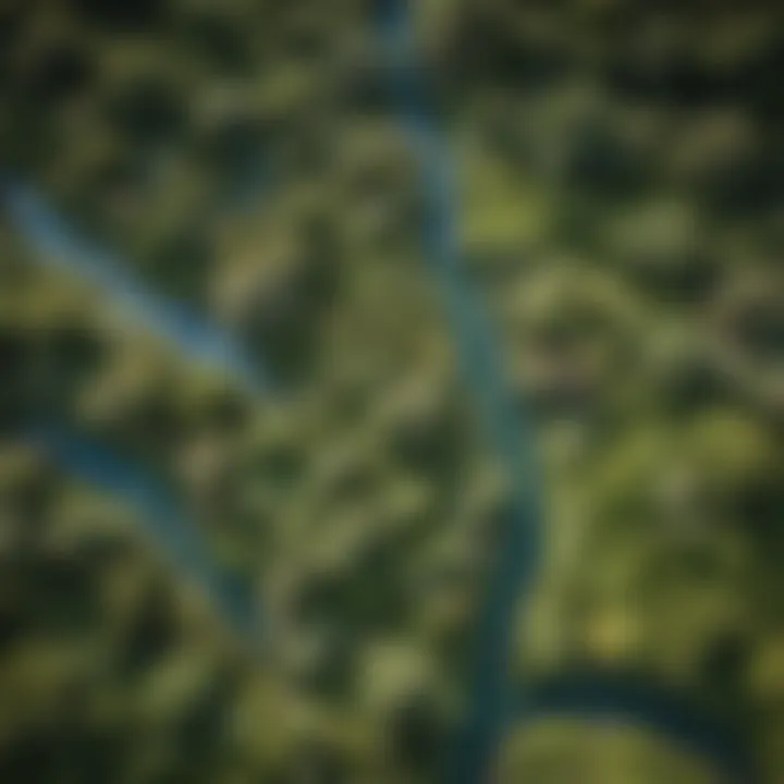 New Zealand's lush green landscapes from above