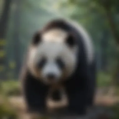 Essential Nutritional Needs of Giant Pandas Nutritional Requirements of Giant Pandas