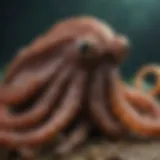 Octopus camouflage technique