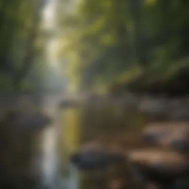 Serenity at Cuyahoga Valley National Park