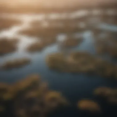 Aerial view of Okavango Delta