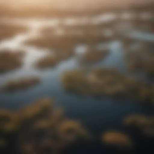 Aerial view of Okavango Delta