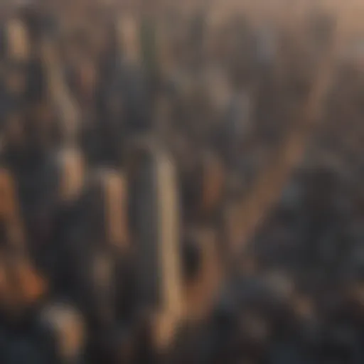 Vintage skyline of New York City showcasing classic architecture