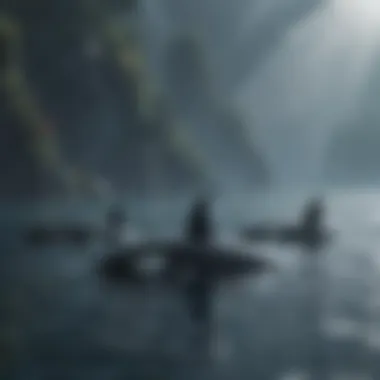 Harmonious Orca Pod in Ocean Playful Orca Pods Swimming Together