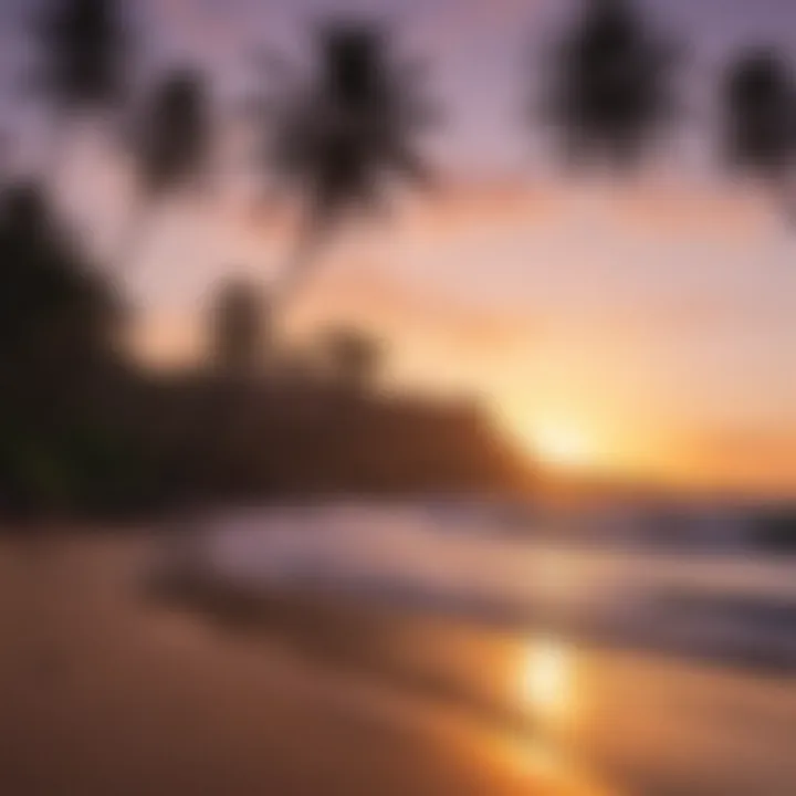 Palm Trees Silhouetted at Dusk