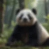 Giant panda in its natural habitat