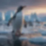 Penguin Colony in Antarctic Ice Field