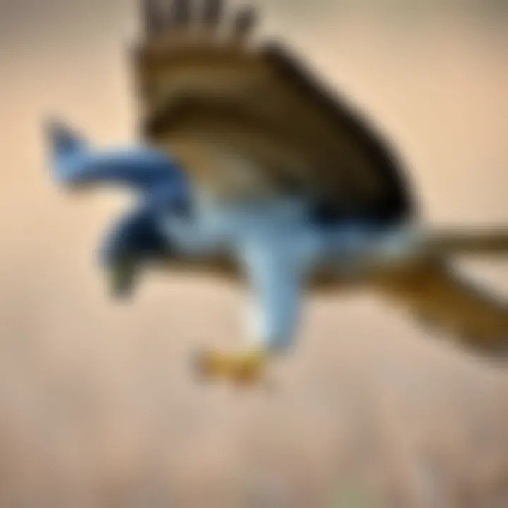 Illustration of the peregrine falcon's hunting technique