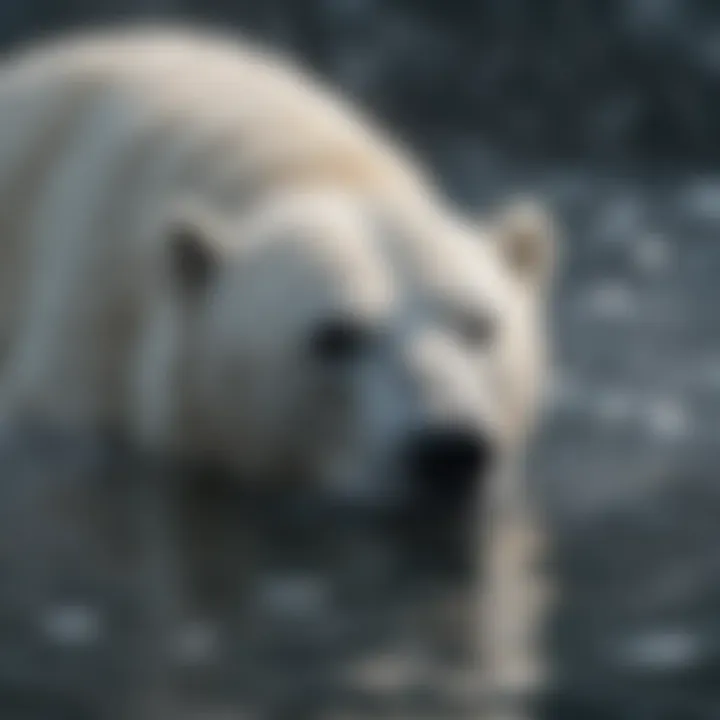 Polar bear swimming gracefully in icy waters