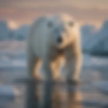 A polar bear standing majestically on a drifting ice floe