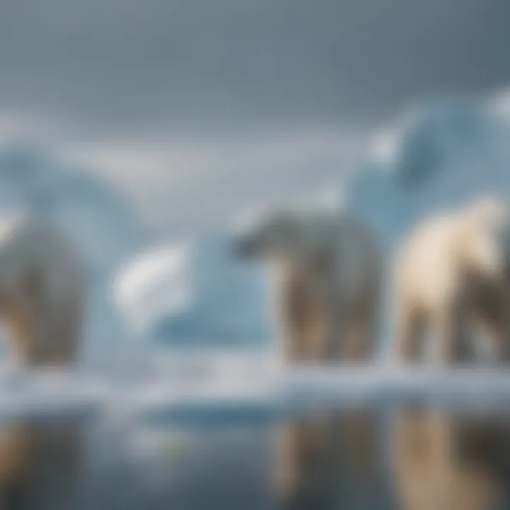 A group of polar bears on a melting ice floe.