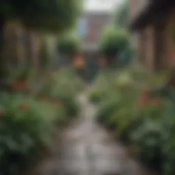 A vibrant urban garden showcasing diverse plants