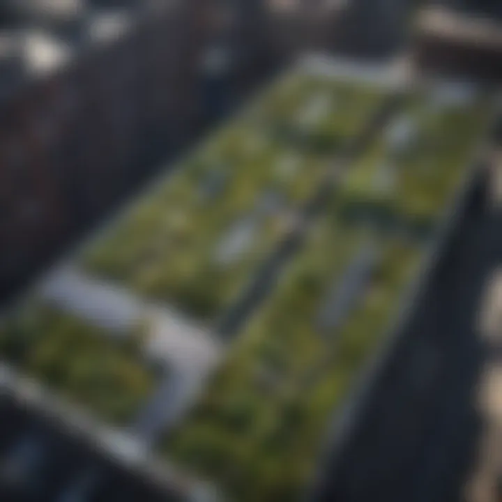 Aerial view of urban rooftop gardens with solar panels and greenery