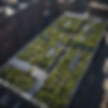 Urban Green Infrastructure Development Aerial view of urban rooftop gardens with solar panels and greenery