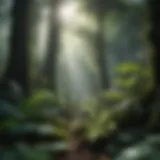 Lush green foliage in the rainforest