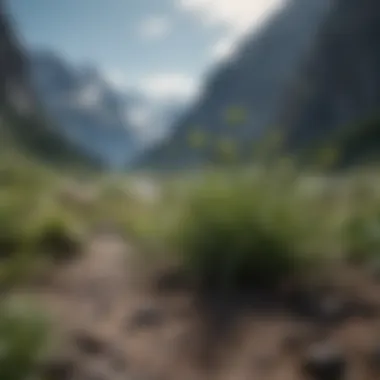 A breathtaking view of majestic mountains with unique plant life, illustrating the beauty of high-altitude environments