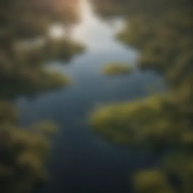 An aerial view of a wetland ecosystem, illustrating the diverse habitats that support Florida's rare wildlife.