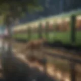 Eco-Friendly Transportation Option