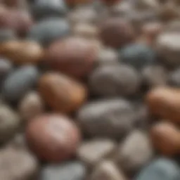 Close-up view of various rock types showcasing their unique textures and colors.
