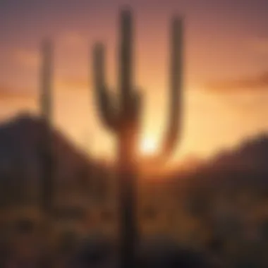 Saguaro Cactus Silhouetted Against Vibrant Sunset