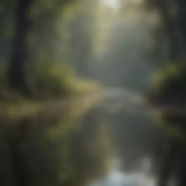The Importance of Wetlands A serene wetland habitat supporting various species