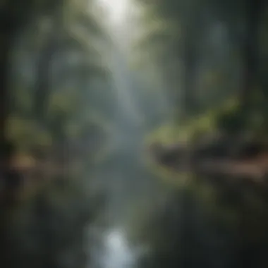 Serene Freshwater Habitat Serene Freshwater Habitat