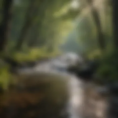 Serene River Flowing Through Lush Forest