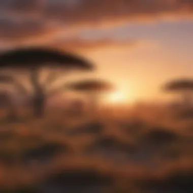 Serenity of African sunset over vast plains