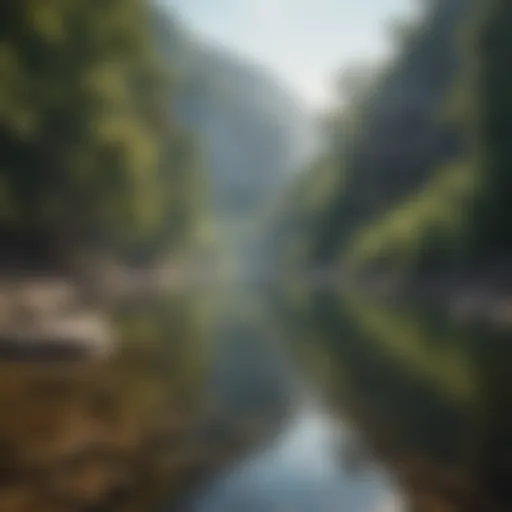 Serenity of Buffalo National River