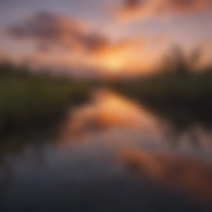 Serenity of Everglades Sunset over Marsh