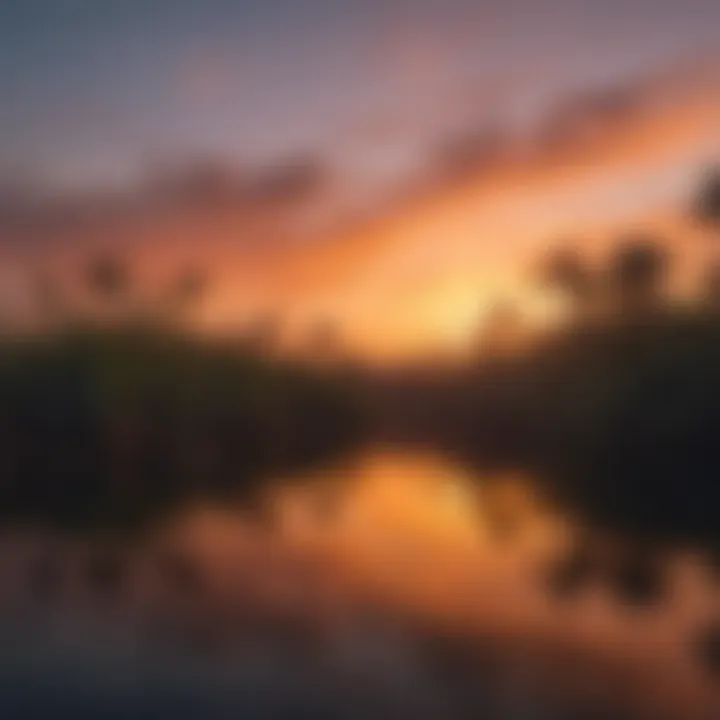 Serenity of the Everglades Sunset