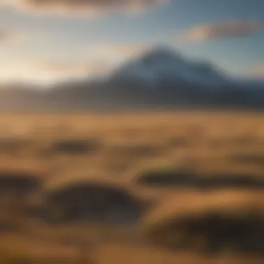 Serenity of Montana Plains