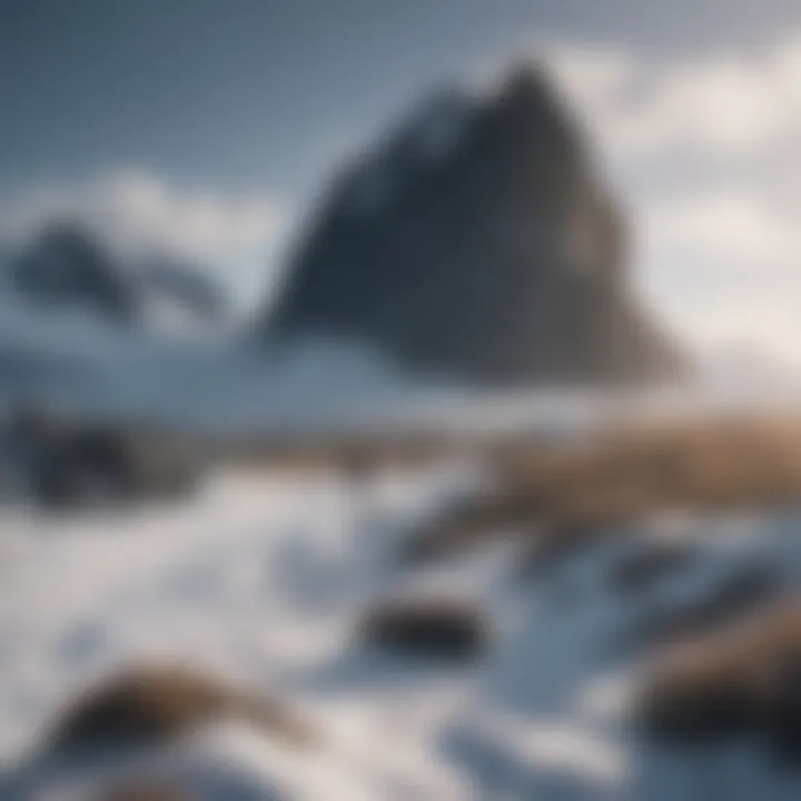 Rugged Terrain Encountered by Shackleton's Crew