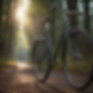 Sleek Minimalist Bicycle