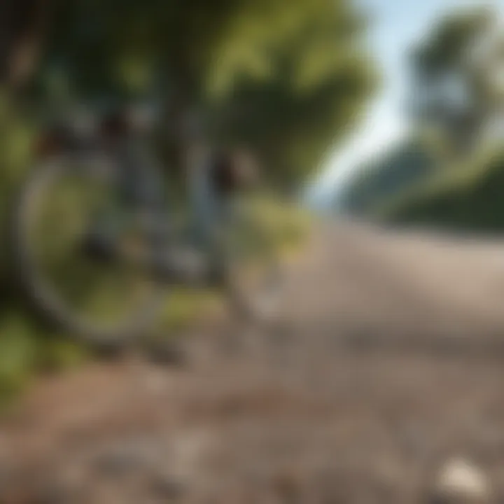 Bicycles parked next to a scenic bike path