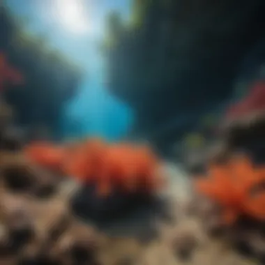 Young explorers snorkeling in vibrant coral reefs