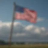 Elegant flag fluttering in the wind
