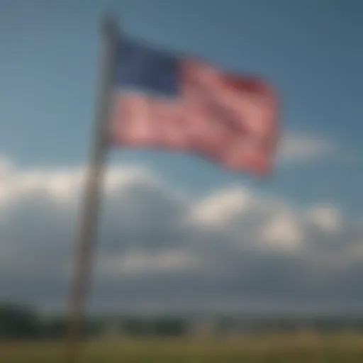 Elegant flag fluttering in the wind
