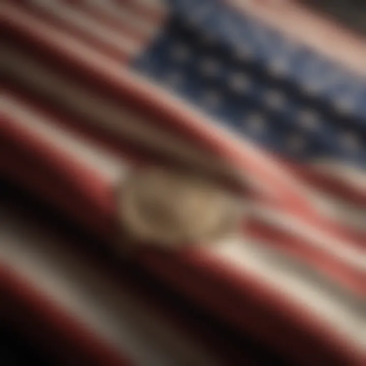 Historic flag with intricate details