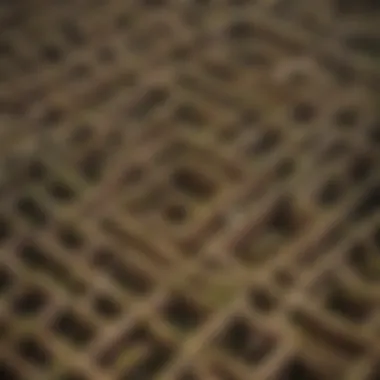 An aerial view of a unique natural formation resembling a maze