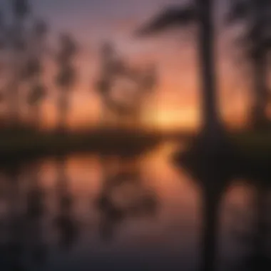 Sunset Over the Everglades Glades with Silhouetted Cypress Trees