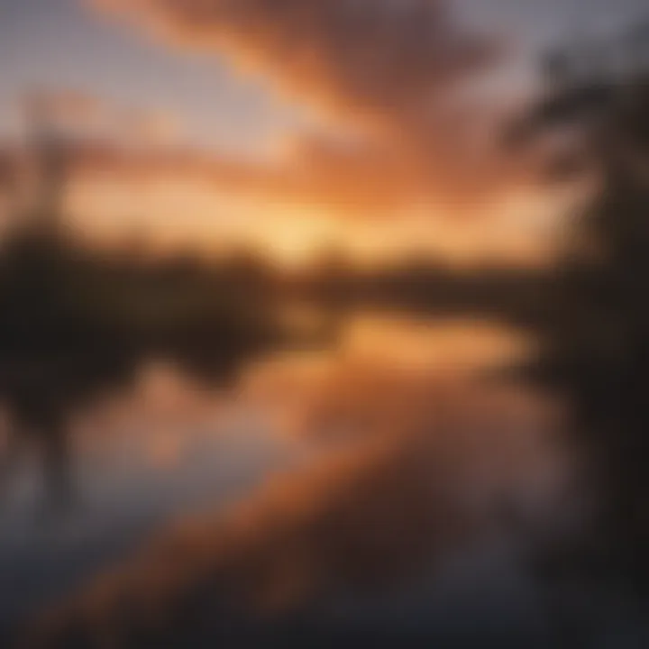 Sunset over the Everglades Wetlands