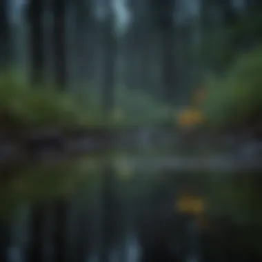 Synchronized Fireflies Phenomenon