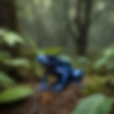 Blue Poison Dart Frog in Its Natural Rainforest Habitat Blue poison dart frog in a lush rainforest environment