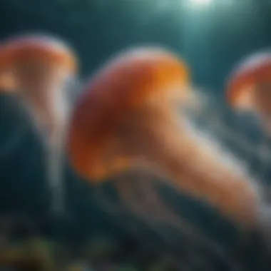 A vibrant underwater scene featuring various jellyfish species in their natural habitat