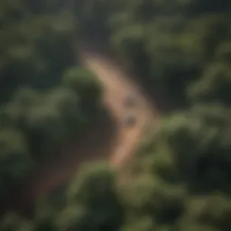 Aerial view of deforestation in a tropical rainforest