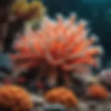 A vibrant coral reef teeming with diverse marine life