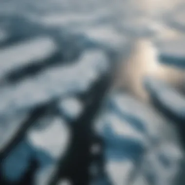 An aerial view of melting Arctic sea ice