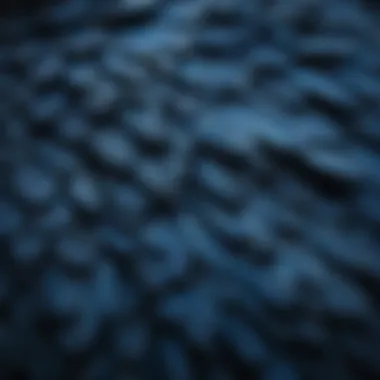 Intricate Patterns of Blue Feathers A close-up of blue feathers showcasing intricate patterns and textures